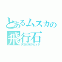 とあるムスカの飛行石（天空の城ラピュタ）