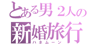 とある男２人の新婚旅行（ハネムーン）