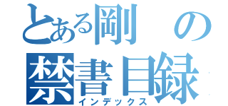 とある剛の禁書目録（インデックス）