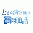 とある演算機の電網通話（スカイプ）