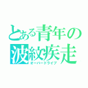 とある青年の波紋疾走（オーバードライブ）