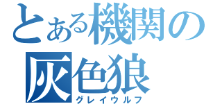 とある機関の灰色狼（グレイウルフ）