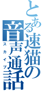 とある速猫の音声通話（スカイプ）