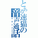 とある速猫の音声通話（スカイプ）