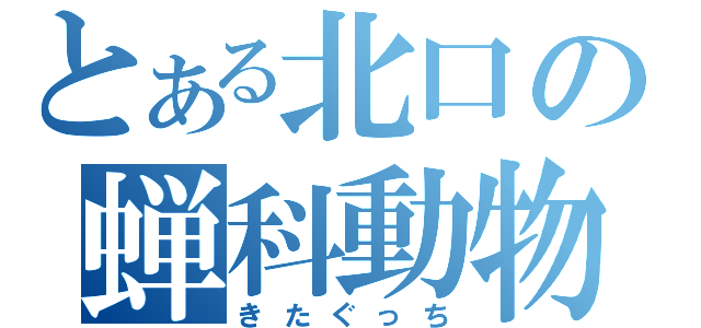 とある北口の蝉科動物（きたぐっち）