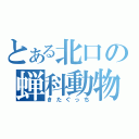 とある北口の蝉科動物（きたぐっち）