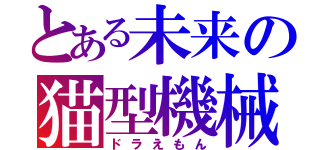 とある未来の猫型機械（ドラえもん）