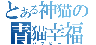 とある神猫の青猫幸福（ハッピー）