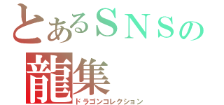 とあるＳＮＳの龍集（ドラゴンコレクション）