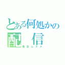 とある何処かの配 信 者（毒舌ムスメ）