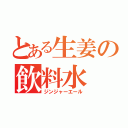 とある生姜の飲料水（ジンジャーエール）