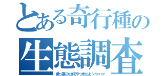 とある奇行種の生態調査（最っ高にたぎるやつをだよ！ハァハァ）