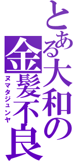 とある大和の金髪不良（ヌマタジュンヤ）