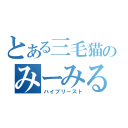 とある三毛猫のみーみるさん（ハイプリースト）