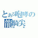 とある咆哮の龍騎尖（淫魔）