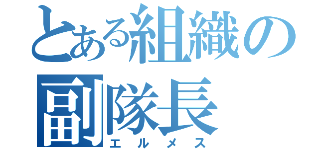 とある組織の副隊長（エルメス）