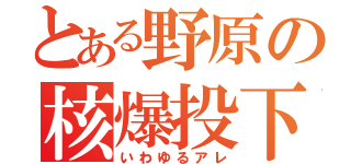 とある野原の核爆投下（いわゆるアレ）