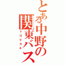 とある中野の関東バス（トロピカル）