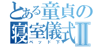 とある童貞の寝室儀式Ⅱ（ベッド下）