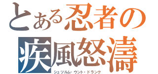 とある忍者の疾風怒濤（シュツルム・ウント・ドランク）