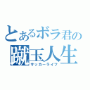 とあるボラ君の蹴玉人生（サッカーライフ）