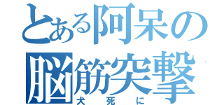 とある阿呆の脳筋突撃（犬死に）