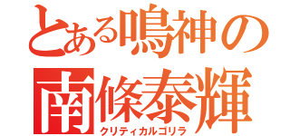 とある鳴神の南條泰輝（クリティカルゴリラ）