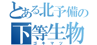 とある北予備の下等生物（ゴキマツ）