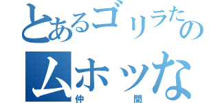 とあるゴリラたちのムホッな（仲間）