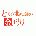 とある北朝鮮の金正男（マサオ）