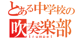 とある中学校の吹奏楽部（ｔｒｕｍｐｅｔ）