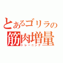 とあるゴリラの筋肉増量（トレーニング）