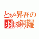 とある昇吾の羽図銅鑼（パズドラ）