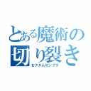 とある魔術の切り裂き呪文（セクタムセンプラ）