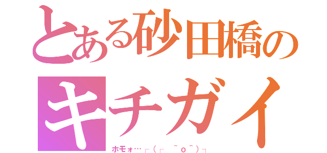 とある砂田橋のキチガイ（ホモォ…┌（┌ ＾ｏ＾）┐）