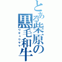 とある柴原の黒毛和牛（ワギュウサマ）