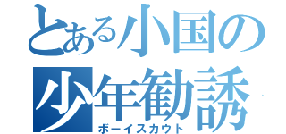 とある小国の少年勧誘（ボーイスカウト）