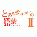 とあるきチがイの解禁Ⅱ（しゅつじん！）