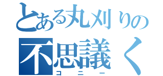 とある丸刈りの不思議くん（コニー）