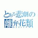 とある悲劇の離弁花類（スプリット）