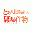 とある北海道の農場作物（いも（功一））