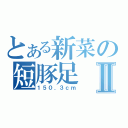 とある新菜の短豚足Ⅱ（１５０．３ｃｍ）