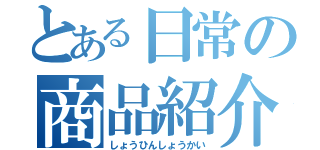 とある日常の商品紹介（しょうひんしょうかい）