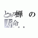 とある蝉の寿命（１週間）