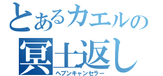 とあるカエルの冥土返し（ヘブンキャンセラー）