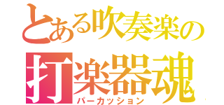 とある吹奏楽の打楽器魂（パーカッション）