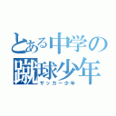 とある中学の蹴球少年（サッカー少年）