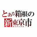 とある箱根の新東京市（ガイナックス）