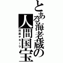 とある海老蔵の人間国宝（灰皿テキーラ）