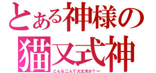 とある神様の猫又式神（こんな二人で大丈夫か？←）